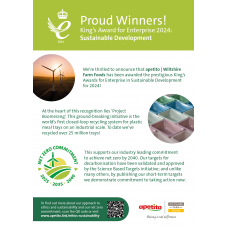 Healthcare King's Award Flyer (A5)