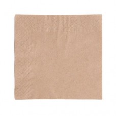 Napkins (pack of 100)